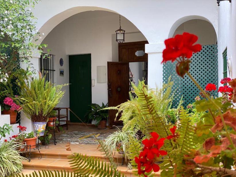 El Arco * Conil De La Frontera