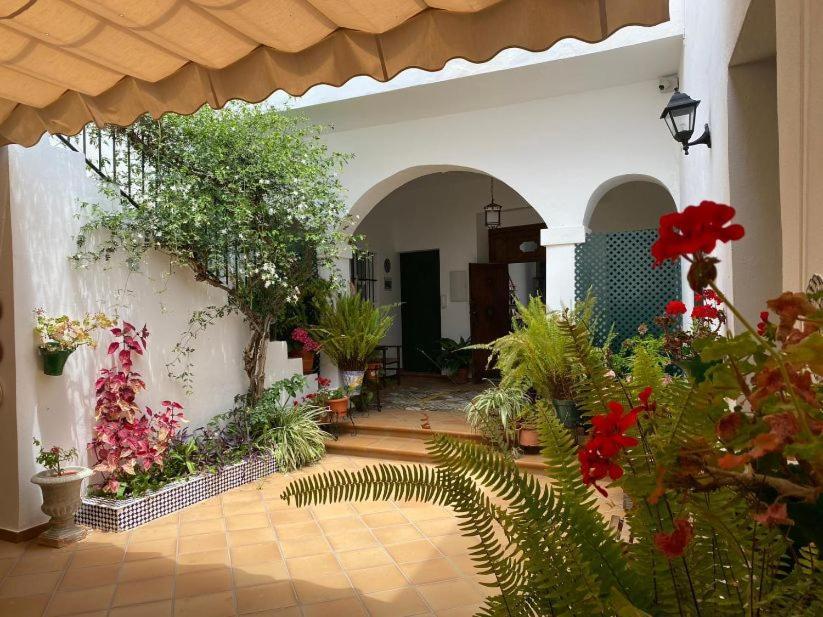 Apartment El Arco