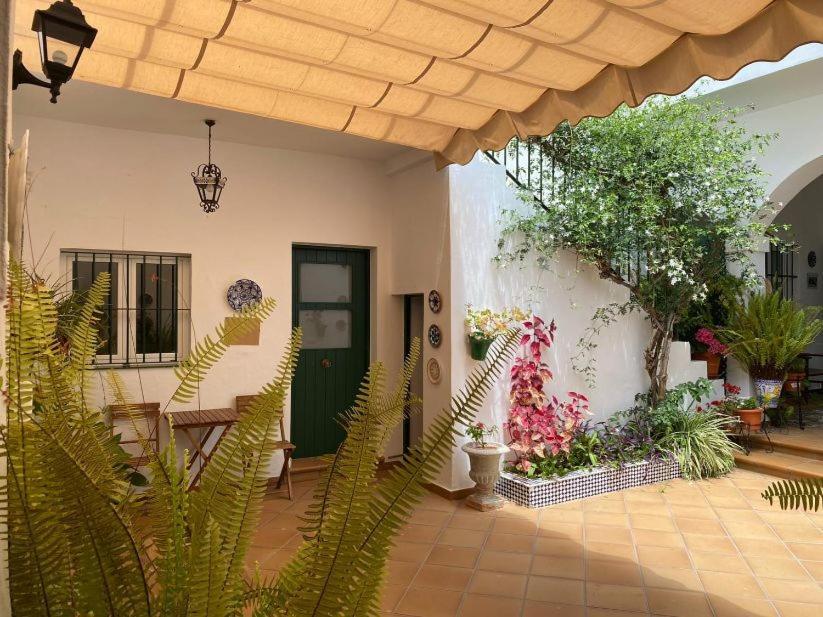 Apartment El Arco Conil De La Frontera