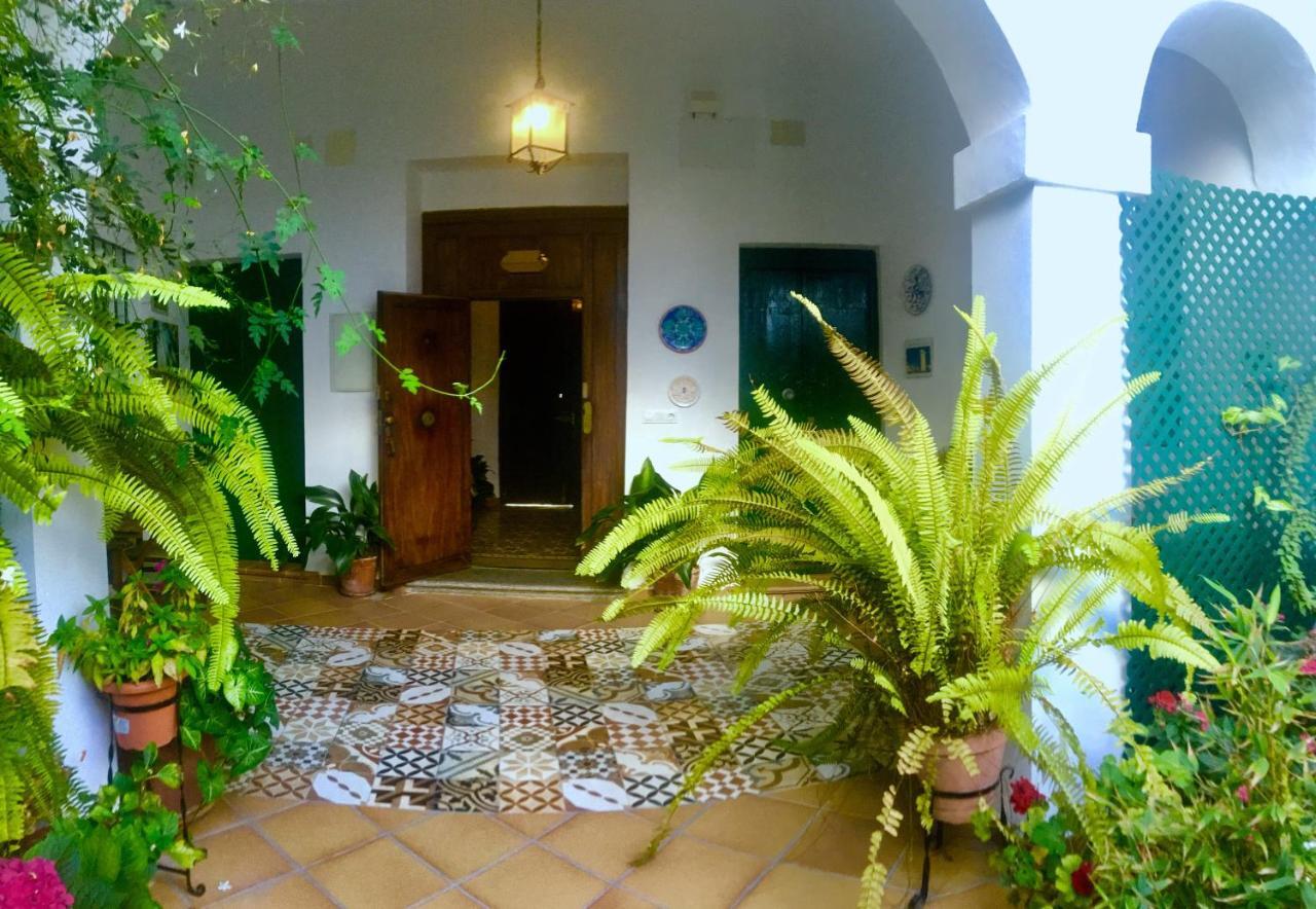 El Arco * Conil De La Frontera